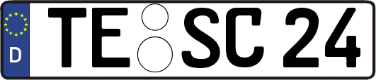 TE-SC24