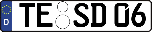 TE-SD06