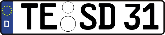 TE-SD31