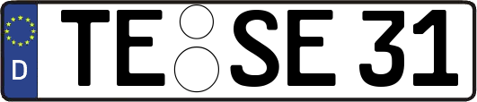 TE-SE31