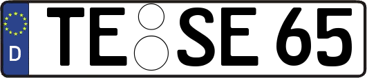TE-SE65