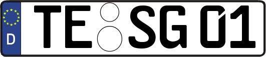 TE-SG01