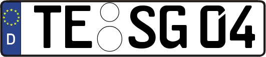 TE-SG04