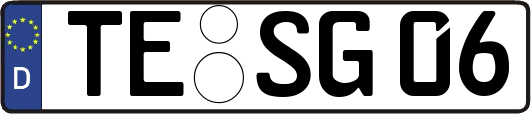 TE-SG06