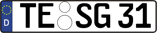 TE-SG31