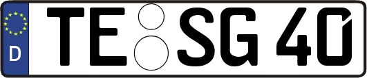 TE-SG40