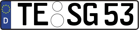 TE-SG53