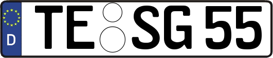 TE-SG55