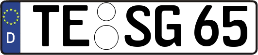 TE-SG65