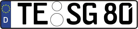 TE-SG80