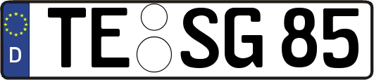 TE-SG85