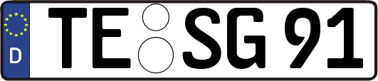 TE-SG91