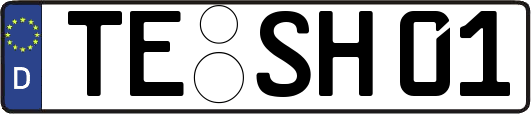 TE-SH01
