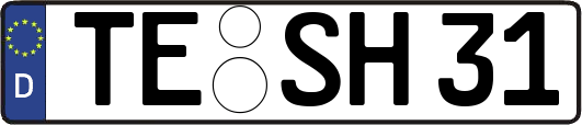 TE-SH31
