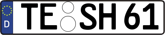 TE-SH61