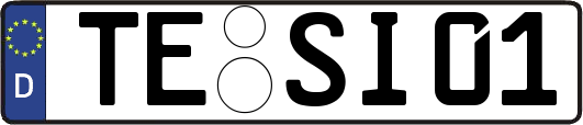TE-SI01