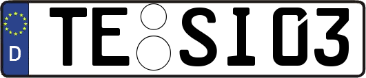 TE-SI03