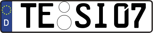 TE-SI07