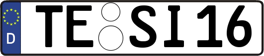 TE-SI16