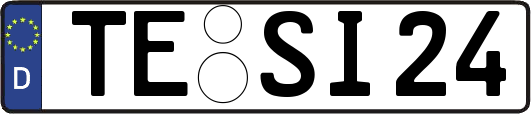 TE-SI24
