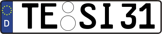 TE-SI31