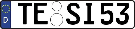 TE-SI53