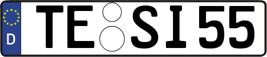 TE-SI55