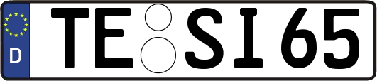 TE-SI65