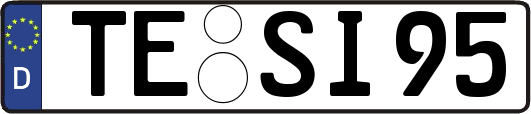 TE-SI95