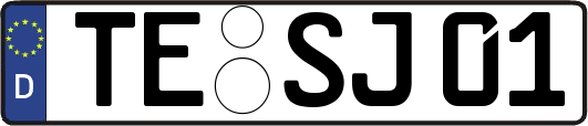 TE-SJ01