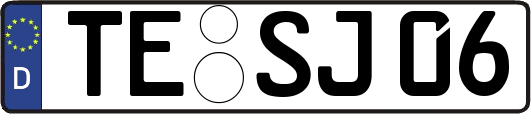 TE-SJ06