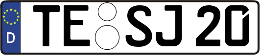 TE-SJ20