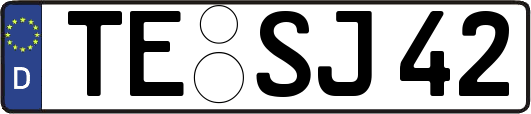 TE-SJ42
