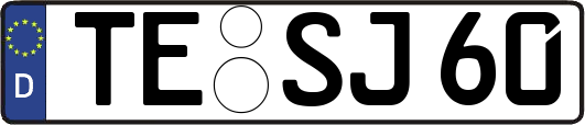 TE-SJ60