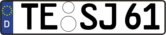 TE-SJ61