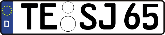 TE-SJ65