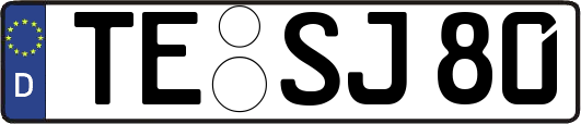 TE-SJ80