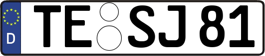 TE-SJ81