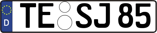 TE-SJ85