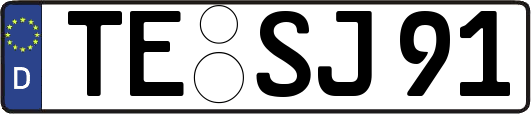 TE-SJ91