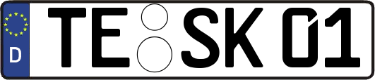 TE-SK01