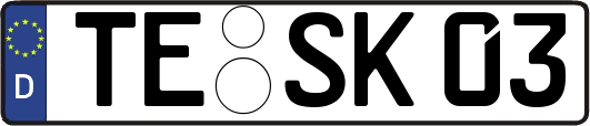 TE-SK03