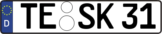 TE-SK31