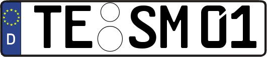 TE-SM01