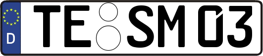 TE-SM03