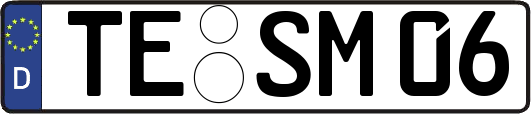 TE-SM06