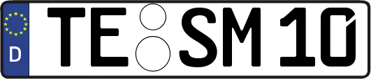 TE-SM10