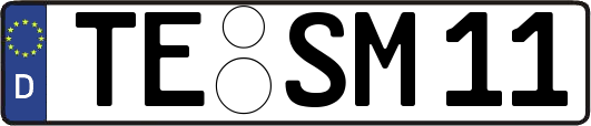 TE-SM11