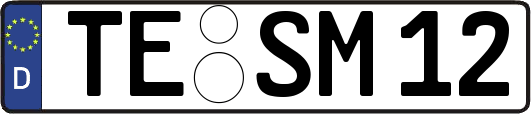 TE-SM12