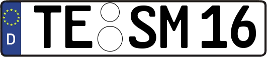 TE-SM16